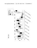 METHODS FOR DIAGNOSIS, PROGNOSIS AND METHODS OF TREATMENT diagram and image