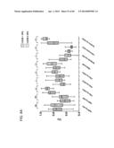 METHODS FOR DIAGNOSIS, PROGNOSIS AND METHODS OF TREATMENT diagram and image