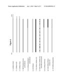 IMMOBILIZED TRANSPOSASE COMPLEXES FOR DNA FRAGMENTATION AND TAGGING diagram and image