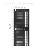 IMMOBILIZED TRANSPOSASE COMPLEXES FOR DNA FRAGMENTATION AND TAGGING diagram and image