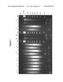 IMMOBILIZED TRANSPOSASE COMPLEXES FOR DNA FRAGMENTATION AND TAGGING diagram and image