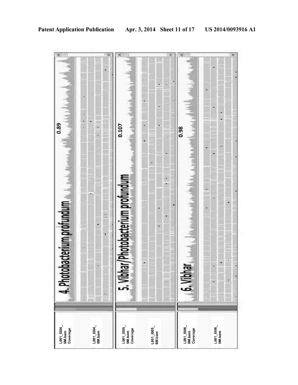 IMMOBILIZED TRANSPOSASE COMPLEXES FOR DNA FRAGMENTATION AND TAGGING - diagram, schematic, and image 12