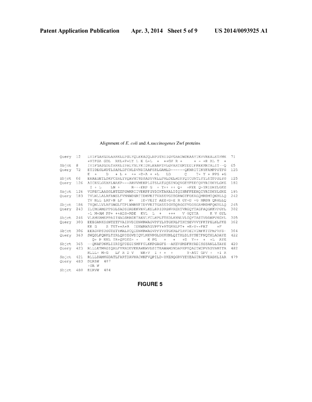 RECOMBINANT MICROORGANISMS FOR PRODUCING ORGANIC ACIDS - diagram, schematic, and image 06