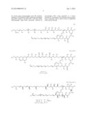 METHOD FOR CULTURING MYCOPLASMA CONTAMINATION-FREE CELLS AND METHOD FOR     REMOVING MYCOPLASMA CONTAMINATION OF CELLS diagram and image