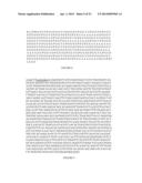 EXPRESSION SYSTEMS AND METHODS OF PRODUCING SPIDER SILK PROTEINS diagram and image