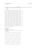 EXPRESSION SYSTEMS AND METHODS OF PRODUCING SPIDER SILK PROTEINS diagram and image