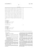 EXPRESSION SYSTEMS AND METHODS OF PRODUCING SPIDER SILK PROTEINS diagram and image