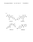 MEASUREMENT METHOD AND MEASUREMENT KIT OF ANTIBIOTICS CONCENTRATION diagram and image