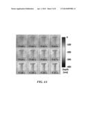 Optically Monitoring and Controlling Nanoscale Topography diagram and image