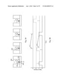 Recombinant Polymerases for Incorporation of Protein Shield Nucleotide     Analogs diagram and image