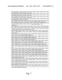 Recombinant Polymerases for Incorporation of Protein Shield Nucleotide     Analogs diagram and image