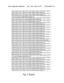 Recombinant Polymerases for Incorporation of Protein Shield Nucleotide     Analogs diagram and image