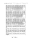 Recombinant Polymerases for Incorporation of Protein Shield Nucleotide     Analogs diagram and image