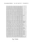 Recombinant Polymerases for Incorporation of Protein Shield Nucleotide     Analogs diagram and image