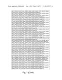 Recombinant Polymerases for Incorporation of Protein Shield Nucleotide     Analogs diagram and image