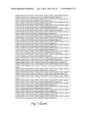 Recombinant Polymerases for Incorporation of Protein Shield Nucleotide     Analogs diagram and image