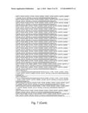 Recombinant Polymerases for Incorporation of Protein Shield Nucleotide     Analogs diagram and image