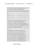 Recombinant Polymerases for Incorporation of Protein Shield Nucleotide     Analogs diagram and image