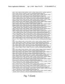 Recombinant Polymerases for Incorporation of Protein Shield Nucleotide     Analogs diagram and image