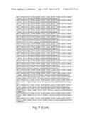 Recombinant Polymerases for Incorporation of Protein Shield Nucleotide     Analogs diagram and image