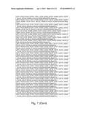 Recombinant Polymerases for Incorporation of Protein Shield Nucleotide     Analogs diagram and image