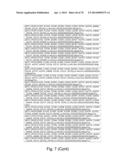 Recombinant Polymerases for Incorporation of Protein Shield Nucleotide     Analogs diagram and image