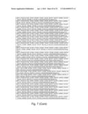 Recombinant Polymerases for Incorporation of Protein Shield Nucleotide     Analogs diagram and image