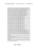 Recombinant Polymerases for Incorporation of Protein Shield Nucleotide     Analogs diagram and image