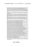 Recombinant Polymerases for Incorporation of Protein Shield Nucleotide     Analogs diagram and image