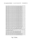 Recombinant Polymerases for Incorporation of Protein Shield Nucleotide     Analogs diagram and image