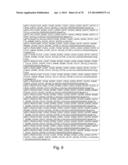 Recombinant Polymerases for Incorporation of Protein Shield Nucleotide     Analogs diagram and image