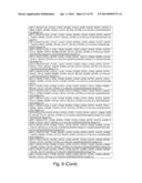 Recombinant Polymerases for Incorporation of Protein Shield Nucleotide     Analogs diagram and image