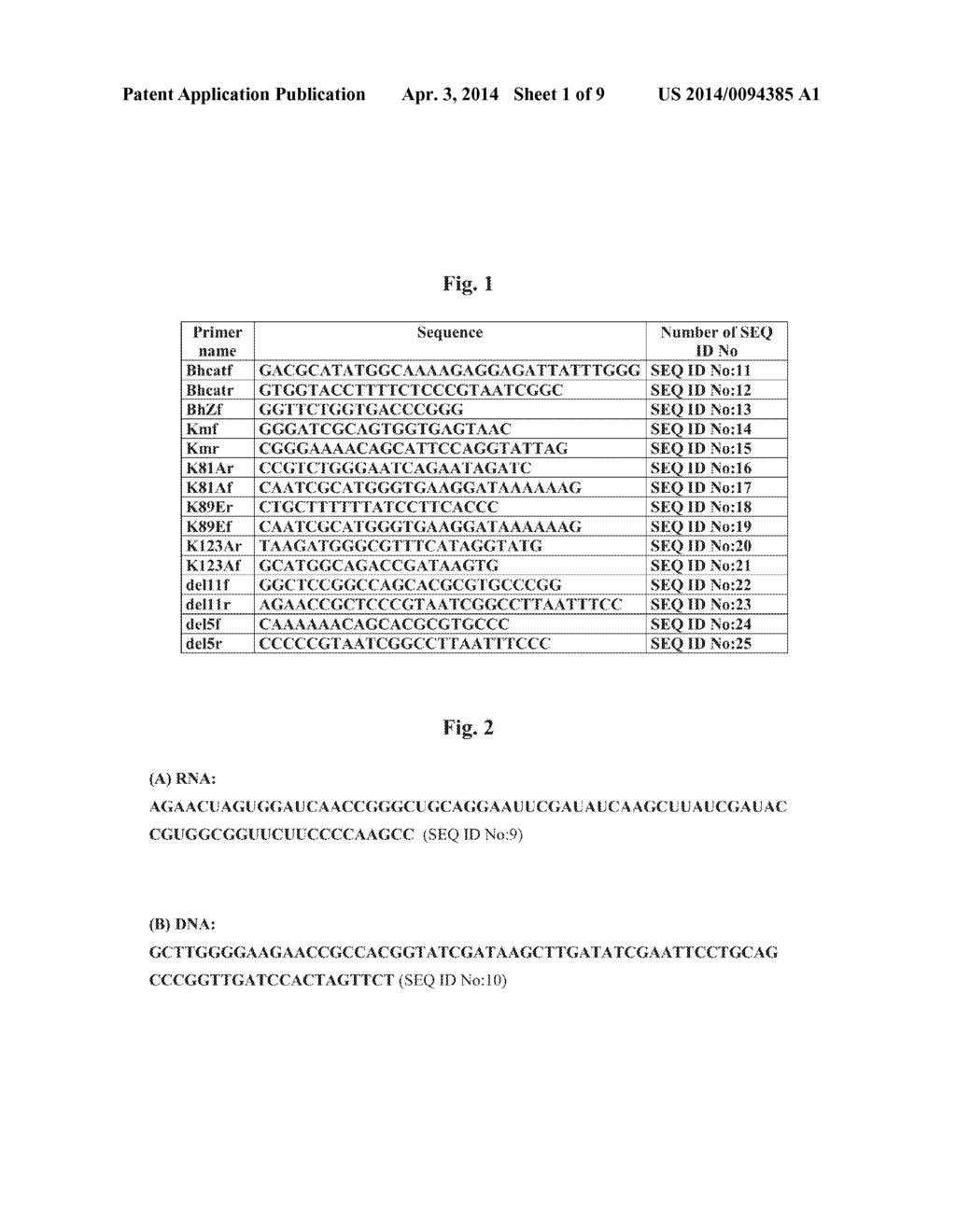 SEQUENCE-SPECIFIC ENGINEERED RIBONUCLEASE H AND THE METHOD FOR DETERMINING     THE SEQUENCE PREFERENCE OF DNA-RNA HYBRID BINDING PROTEINS - diagram, schematic, and image 02