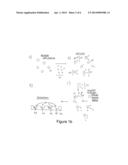 METHODS OF DETERMINING A TREATMENT PROTOCOL FOR AND/OR A PROGNOSIS OF A     PATIENT S RECOVERY FROM A BRAIN INJURY RESULTING FROM A HYPOXIC EVENT diagram and image