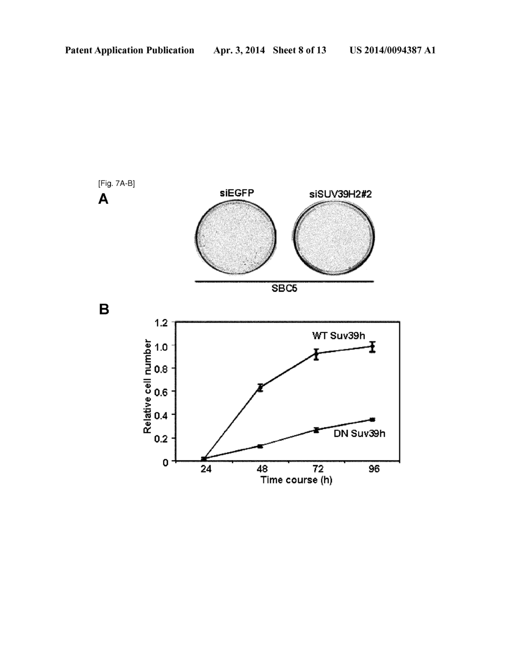 SUV39H2 AS A TARGET GENE FOR CANCER THERAPY AND DIAGNOSIS - diagram, schematic, and image 09