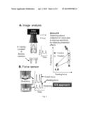 Engineered Cardiac Tissues and Methods of Using Them diagram and image