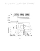 Engineered Cardiac Tissues and Methods of Using Them diagram and image