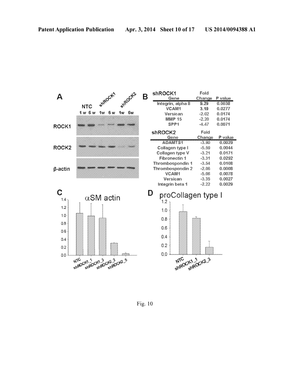 Engineered Cardiac Tissues and Methods of Using Them - diagram, schematic, and image 11