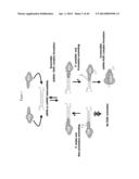 siRNA Targeting TIE-2 diagram and image