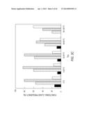 siRNA Targeting TIE-2 diagram and image