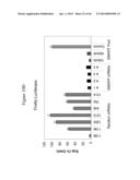 siRNA Targeting TIE-2 diagram and image