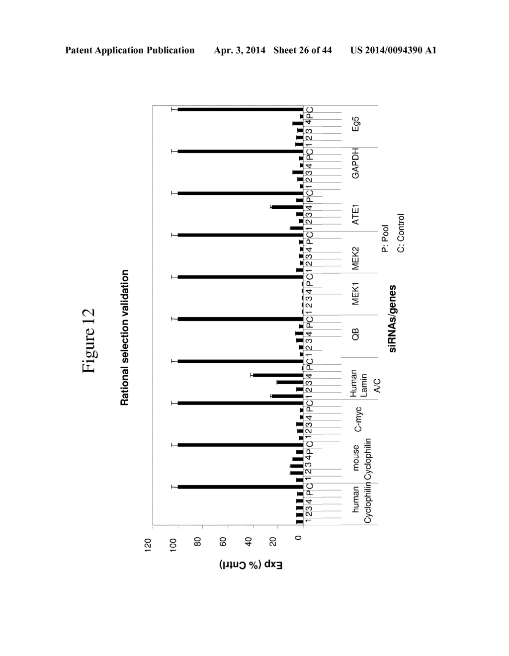 siRNA Targeting TIE-2 - diagram, schematic, and image 27