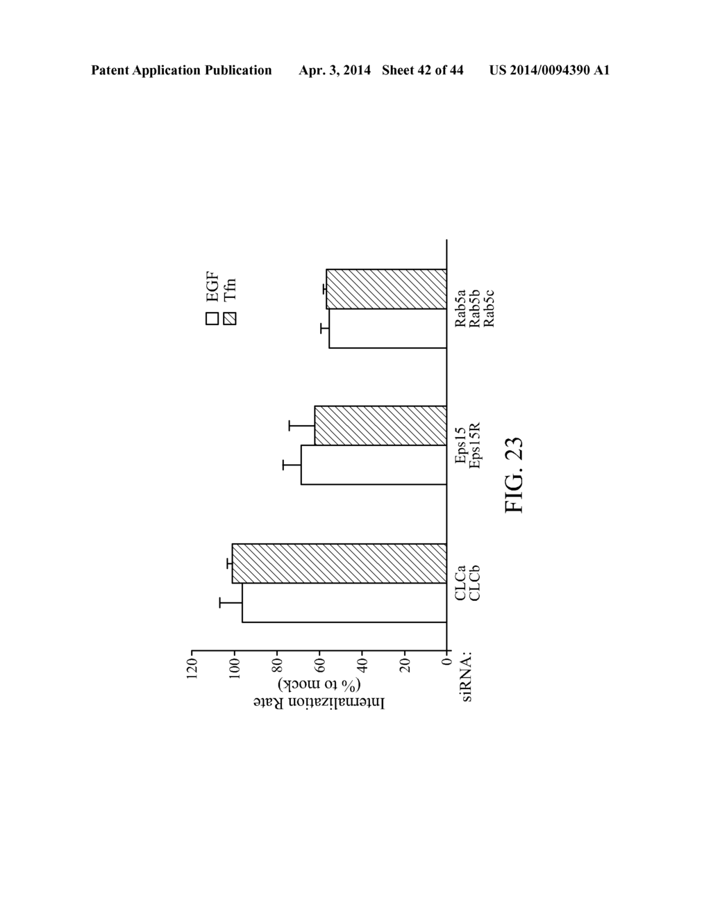 siRNA Targeting TIE-2 - diagram, schematic, and image 43