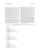 siRNA Targeting TIE-2 diagram and image