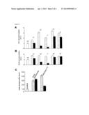 Novel Angiotensin Type 2 (AT2) Receptor Agonists and Uses Thereof diagram and image