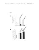 Novel Angiotensin Type 2 (AT2) Receptor Agonists and Uses Thereof diagram and image