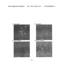 METHODS AND REAGENTS FOR EFFICIENT AND TARGETED DELIVERY OF THERAPEUTIC     MOLECULES TO CXCR4 CELLS diagram and image