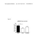 HIGH-AFFINITY, DIMERIC INHIBITORS OF PSD-95 AS EFFICIENT NEUROPROTECTANTS     AGAINST ISCHEMIC BRAIN DAMAGE AND FOR TREATMENT OF PAIN diagram and image