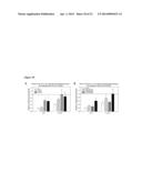 HIGH-AFFINITY, DIMERIC INHIBITORS OF PSD-95 AS EFFICIENT NEUROPROTECTANTS     AGAINST ISCHEMIC BRAIN DAMAGE AND FOR TREATMENT OF PAIN diagram and image