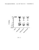 PSEUDOMONAS EXOTOXIN A WITH LESS IMMUNOGENIC T CELL AND/OR B CELL EPITOPES diagram and image